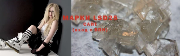 стаф Алзамай
