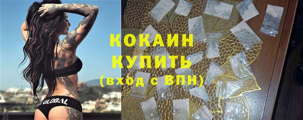 стаф Алзамай