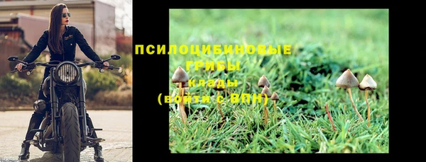 трава Абинск