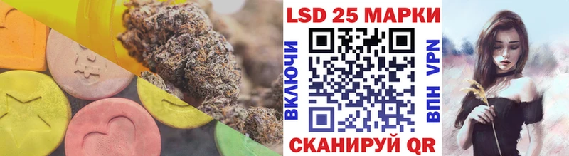 где продают наркотики  Вологда  LSD-25 экстази ecstasy 