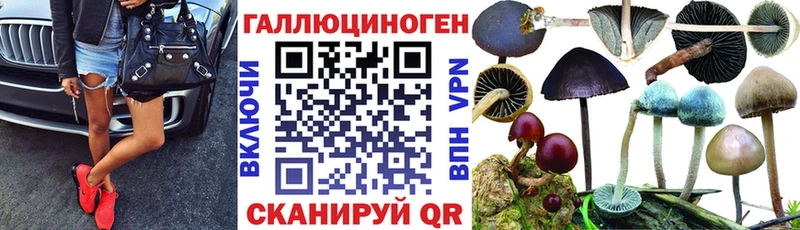 Псилоцибиновые грибы GOLDEN TEACHER  Вологда 