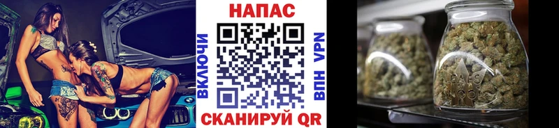 где купить наркоту  Вологда  Каннабис тримм 